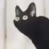 Avatar of woodsquid