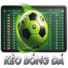 Avatar of Keobongda68com