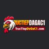 Avatar of ructiepdagac1com
