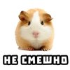 Avatar of alexx3581