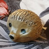 Avatar of siikikala