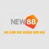 Avatar of new88