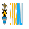 Avatar of sansball