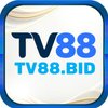 Avatar of tv88bid