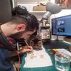 Avatar of easy_asset