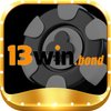Avatar of 13winbond1