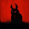 Avatar of infestedrabbit