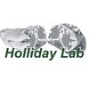 Avatar of Holliday Lab
