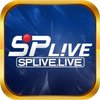 Avatar of Splive