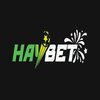 Avatar of HAYBET