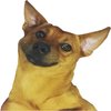 Avatar of babunsk2