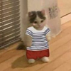 Avatar of Gatito44
