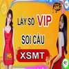 Avatar of Soi cau MT