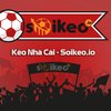 Avatar of soikeoio