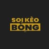Avatar of Soikeobongdacom Se