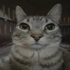Avatar of itzjaeda