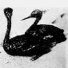 Avatar of vinoya323