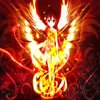 Avatar of notlava