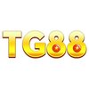 Avatar of TG88 Works