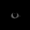 Avatar of Jerry9345