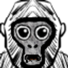 Avatar of Fastvr313