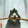 Avatar of ffflexx