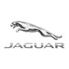 Avatar of Jaguar of Chattanooga