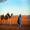 Avatar of day trips from Marrakech
