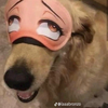 Avatar of leonelitosalto28