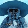 Avatar of flowvrgorilla tag