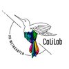 Avatar of CoLiLab