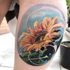 Avatar of gallegotattoo17