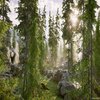 Avatar of 3D Environment Artist Shop