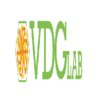Avatar of VDGLAB