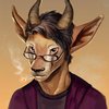 Avatar of rurusonic