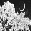 Avatar of starzszs
