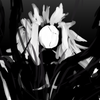 Avatar of Shad150