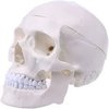 Avatar of Mr.Skelebones