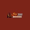 Avatar of sv388