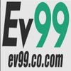 Avatar of ev9991com