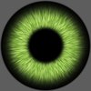 Avatar of tvm210026