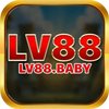 Avatar of lv88 baby