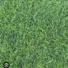 Avatar of morroccomay8