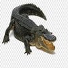 Avatar of deriyandi2004
