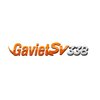 Avatar of gavietsv3881