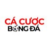 Avatar of Top Web Cá Cược Bóng Đá An Toàn