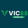 Avatar of VIC88