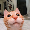 Avatar of Binky833