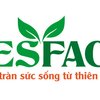 Avatar of Nesfaco VN