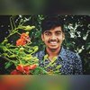 Avatar of Bunny.Chittyala